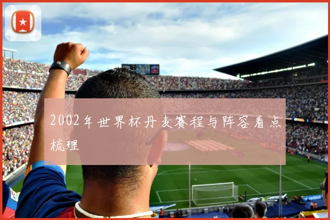 2002年世界杯丹麦赛程与阵容看点梳理